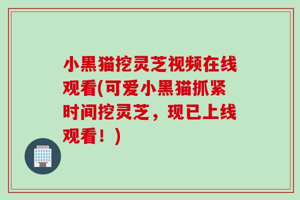 小黑猫挖灵芝视频在线观看(可爱小黑猫抓紧时间挖灵芝，现已上线观看！)