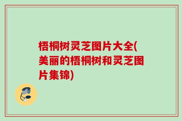 梧桐树灵芝图片大全(美丽的梧桐树和灵芝图片集锦)