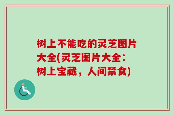 树上不能吃的灵芝图片大全(灵芝图片大全：树上宝藏，人间禁食)