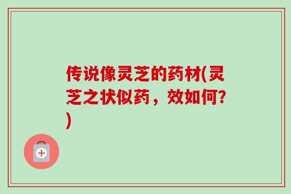 传说像灵芝的药材(灵芝之状似药，效如何？)