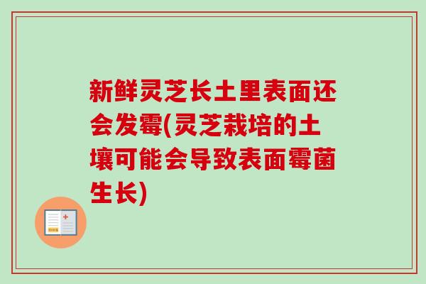 新鲜灵芝长土里表面还会发霉(灵芝栽培的土壤可能会导致表面霉菌生长)