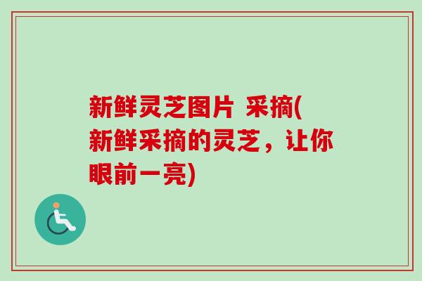 新鲜灵芝图片 采摘(新鲜采摘的灵芝，让你眼前一亮)