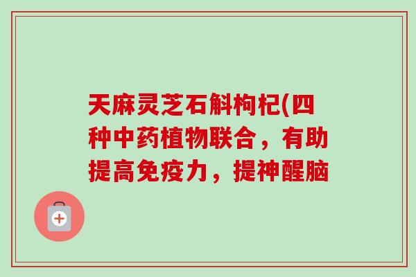 天麻灵芝石斛枸杞(四种中药植物联合，有助提高免疫力，提神醒脑