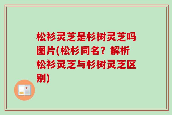 松衫灵芝是杉树灵芝吗图片(松杉同名？解析松衫灵芝与杉树灵芝区别)