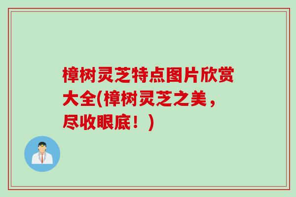 樟树灵芝特点图片欣赏大全(樟树灵芝之美，尽收眼底！)