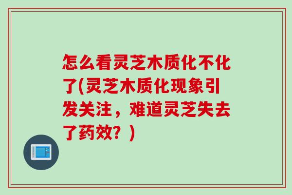 怎么看灵芝木质化不化了(灵芝木质化现象引发关注，难道灵芝失去了药效？)