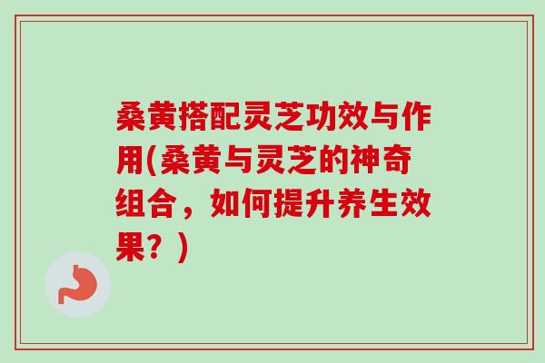 桑黄搭配灵芝功效与作用(桑黄与灵芝的神奇组合，如何提升养生效果？)