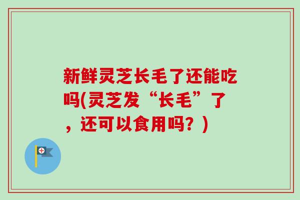 新鲜灵芝长毛了还能吃吗(灵芝发“长毛”了，还可以食用吗？)