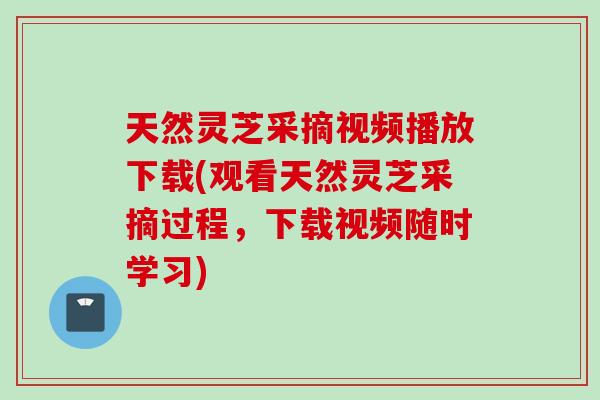 天然灵芝采摘视频播放下载(观看天然灵芝采摘过程，下载视频随时学习)