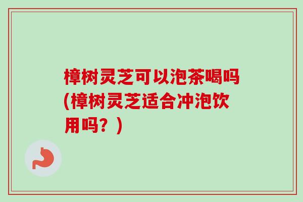 樟树灵芝可以泡茶喝吗(樟树灵芝适合冲泡饮用吗？)