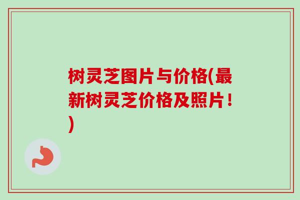 树灵芝图片与价格(最新树灵芝价格及照片！)
