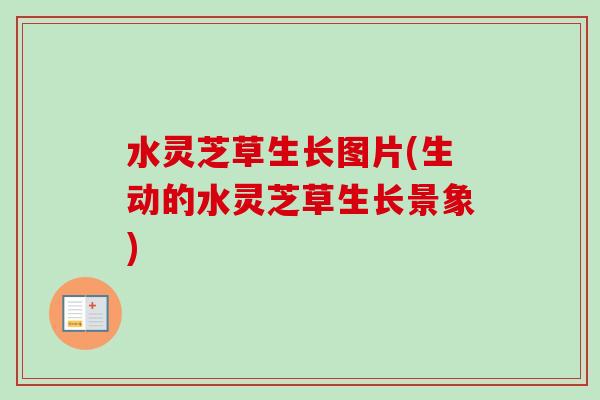 水灵芝草生长图片(生动的水灵芝草生长景象)