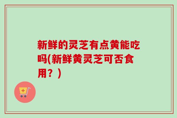 新鲜的灵芝有点黄能吃吗(新鲜黄灵芝可否食用？)