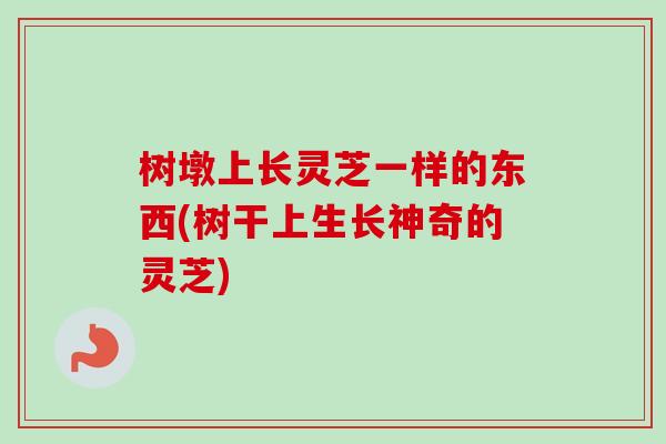 树墩上长灵芝一样的东西(树干上生长神奇的灵芝)