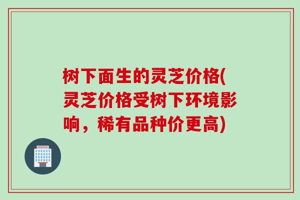 树下面生的灵芝价格(灵芝价格受树下环境影响，稀有品种价更高)
