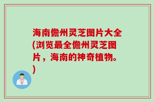 海南儋州灵芝图片大全(浏览最全儋州灵芝图片，海南的神奇植物。)