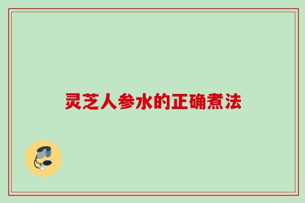 灵芝人参水的正确煮法