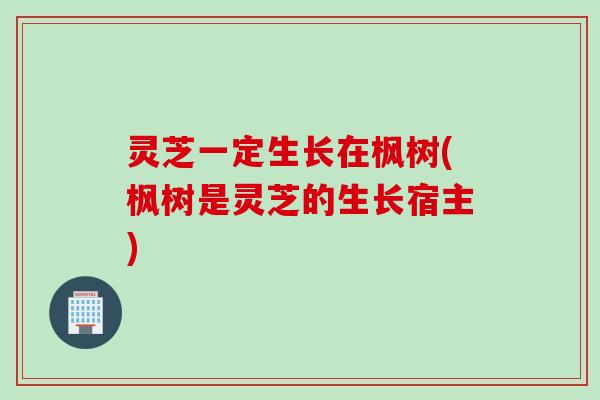 灵芝一定生长在枫树(枫树是灵芝的生长宿主)
