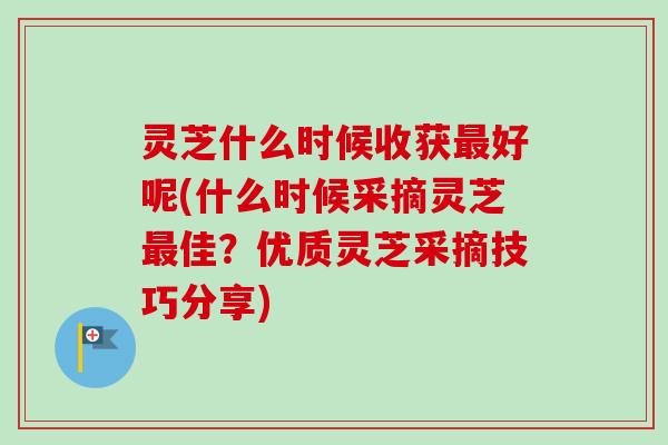 灵芝什么时候收获最好呢(什么时候采摘灵芝最佳？优质灵芝采摘技巧分享)