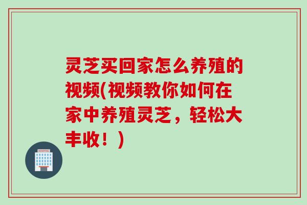 灵芝买回家怎么养殖的视频(视频教你如何在家中养殖灵芝，轻松大丰收！)