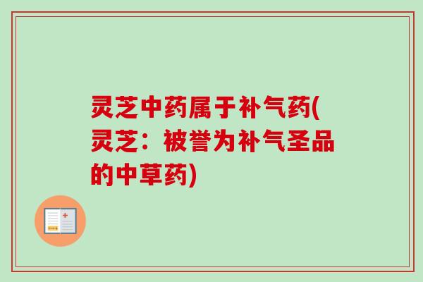 灵芝中药属于补气药(灵芝：被誉为补气圣品的中草药)