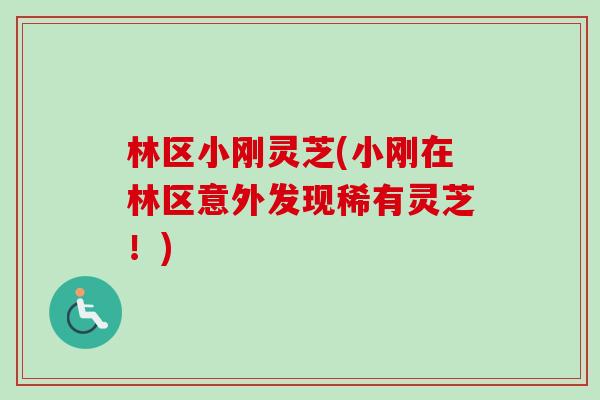 林区小刚灵芝(小刚在林区意外发现稀有灵芝！)