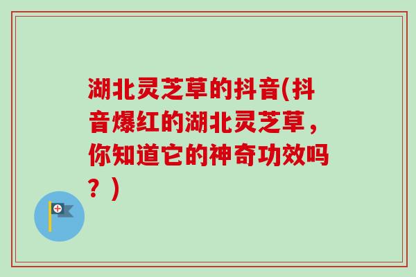 湖北灵芝草的抖音(抖音爆红的湖北灵芝草，你知道它的神奇功效吗？)