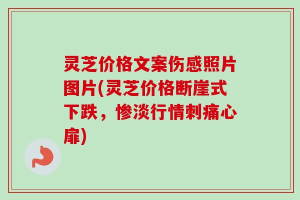 灵芝价格文案伤感照片图片(灵芝价格断崖式下跌，惨淡行情刺痛心扉)