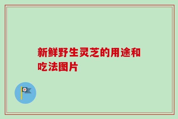 新鲜野生灵芝的用途和吃法图片