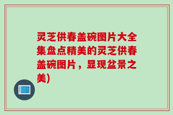 灵芝供春盖碗图片大全集盘点精美的灵芝供春盖碗图片，显现盆景之美)