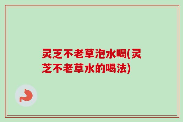 灵芝不老草泡水喝(灵芝不老草水的喝法)