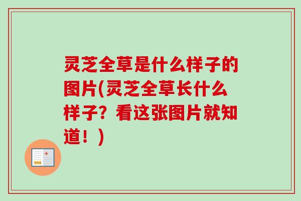 灵芝全草是什么样子的图片(灵芝全草长什么样子？看这张图片就知道！)