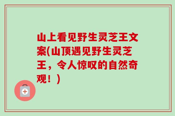 山上看见野生灵芝王文案(山顶遇见野生灵芝王，令人惊叹的自然奇观！)