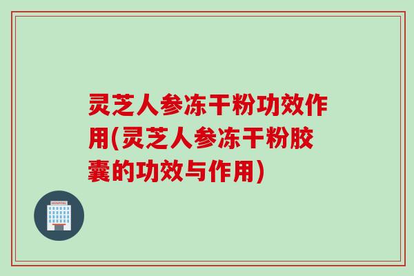 灵芝人参冻干粉功效作用(灵芝人参冻干粉胶囊的功效与作用)