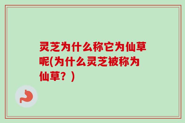 灵芝为什么称它为仙草呢(为什么灵芝被称为仙草？)