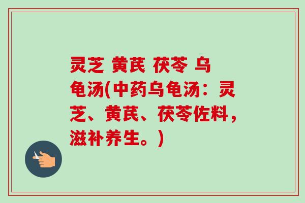 灵芝 黄芪 茯苓 乌龟汤(中药乌龟汤：灵芝、黄芪、茯苓佐料，滋补养生。)