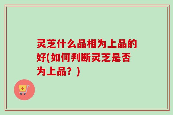 灵芝什么品相为上品的好(如何判断灵芝是否为上品？)