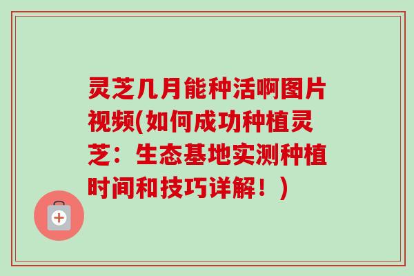 灵芝几月能种活啊图片视频(如何成功种植灵芝：生态基地实测种植时间和技巧详解！)
