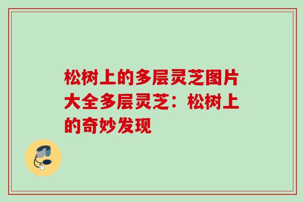松树上的多层灵芝图片大全多层灵芝：松树上的奇妙发现