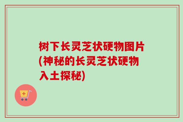 树下长灵芝状硬物图片(神秘的长灵芝状硬物入土探秘)