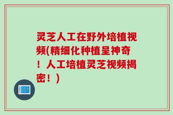 灵芝人工在野外培植视频(精细化种植呈神奇！人工培植灵芝视频揭密！)
