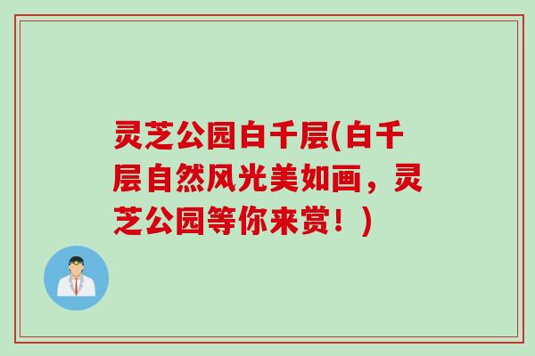 灵芝公园白千层(白千层自然风光美如画，灵芝公园等你来赏！)