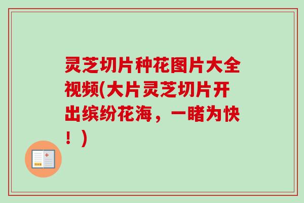 灵芝切片种花图片大全视频(大片灵芝切片开出缤纷花海，一睹为快！)