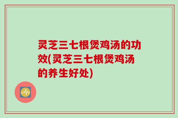 灵芝三七根煲鸡汤的功效(灵芝三七根煲鸡汤的养生好处)