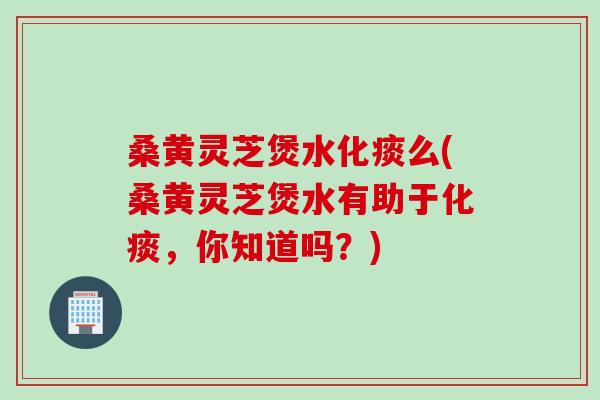桑黄灵芝煲水化痰么(桑黄灵芝煲水有助于化痰，你知道吗？)