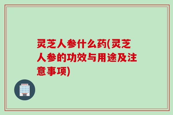 灵芝人参什么药(灵芝人参的功效与用途及注意事项)