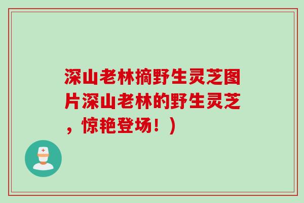 深山老林摘野生灵芝图片深山老林的野生灵芝，惊艳登场！)