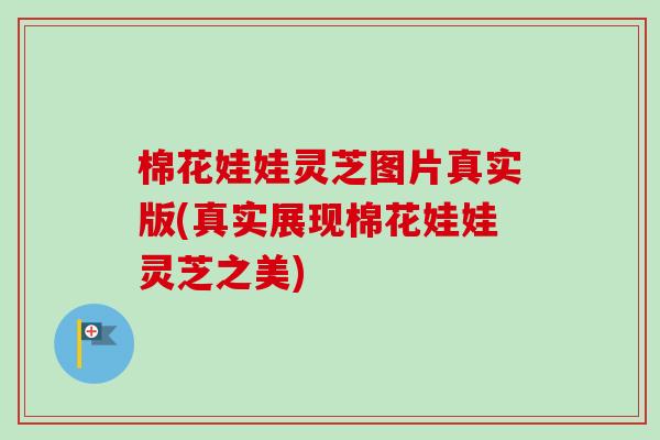 棉花娃娃灵芝图片真实版(真实展现棉花娃娃灵芝之美)