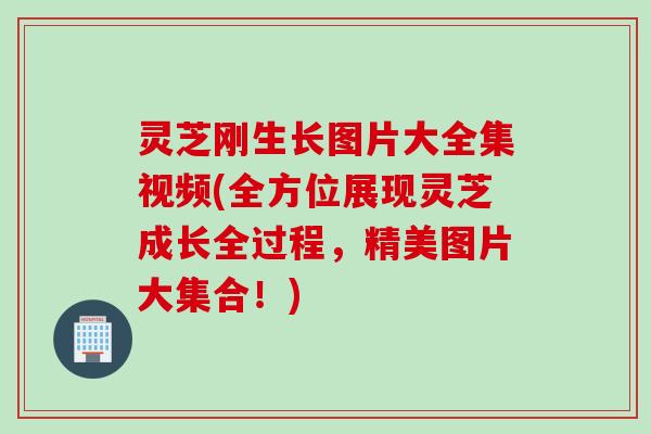 灵芝刚生长图片大全集视频(全方位展现灵芝成长全过程，精美图片大集合！)