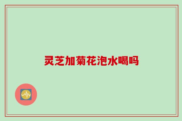 灵芝加菊花泡水喝吗